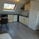 Rent 1 bedroom apartment in Brussels