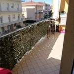 Rent 2 bedroom apartment of 45 m² in Misano Adriatico