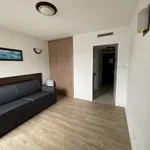 Rent 1 bedroom apartment of 19 m² in IDRON