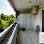 Rent 2 bedroom apartment of 109 m² in Κεφαλλήνων