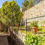 Rent 5 bedroom house of 180 m² in Monte Argentario