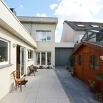 Rent 1 bedroom house in Geraardsbergen