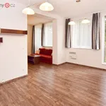 Rent 2 bedroom apartment of 35 m² in Sázava