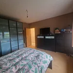 Rent 2 bedroom apartment in Fléron