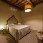 Rent 1 bedroom apartment of 50 m² in florence