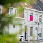 Rent 1 bedroom apartment in Kortrijk