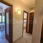 Rent 4 bedroom apartment of 81 m² in Alassio