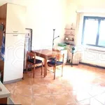 Rent 1 bedroom apartment of 33 m² in Genova