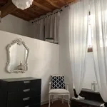 Rent 1 bedroom apartment in Florence