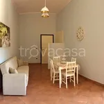 Rent 3 bedroom apartment of 80 m² in Barletta