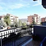 Rent 5 bedroom apartment of 117 m² in Chieti