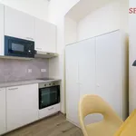 Pronajměte si 2 ložnic/e byt o rozloze 15 m² v Prague