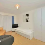 Rent 1 bedroom apartment of 30 m² in Zürich