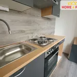 Rent 3 bedroom apartment of 66 m² in Nová Ves