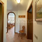 Rent 3 bedroom apartment of 65 m² in Lavarone