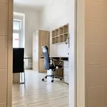 Rent 1 bedroom apartment in Brno