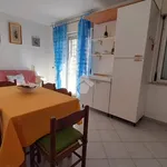 Rent 2 bedroom apartment of 55 m² in Latina