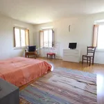 Rent 4 bedroom apartment of 80 m² in Lucca