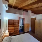 Rent 2 bedroom apartment of 46 m² in Bologna