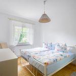 Rent 1 bedroom apartment of 58 m² in Dresden