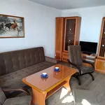 Rent 1 bedroom apartment of 39 m² in Katowice