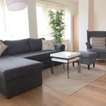 Rent 2 bedroom apartment of 100 m² in The Hague