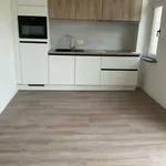 Rent 3 bedroom apartment in Gent