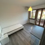 Rent 4 bedroom apartment in Padua