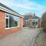 Detached bungalow to rent in Kennel Loke, Gorleston, Great Yarmouth NR31