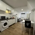 Rent 1 bedroom apartment in Madrid