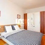 Rent 2 bedroom apartment of 50 m² in Prague