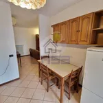 Rent 3 bedroom apartment of 100 m² in Cremona