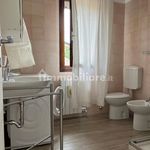 2-room flat excellent condition, ground floor, Centro, Badia Polesine