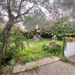 Rent 1 bedroom house of 151 m² in Messina