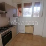 Rent 4 bedroom apartment of 85 m² in Bologna