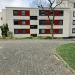 Rent 4 bedroom apartment of 92 m² in Siegen