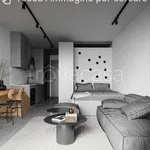 Rent 1 bedroom apartment of 35 m² in Bergamo