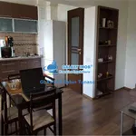 Rent 3 bedroom apartment of 65 m² in Pitești