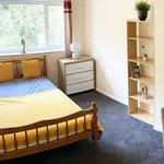 Rent 6 bedroom flat in East Of England