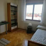 Alquilar 4 dormitorio apartamento en Madrid