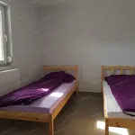 Rent 1 bedroom house of 48 m² in Kecskemét