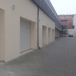 Rent 1 bedroom apartment in Brno