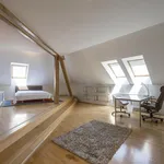 Rent 5 bedroom apartment of 200 m² in Prague