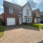 Rent 4 bedroom house in North East England