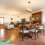 Rent 1 bedroom house in Peniche