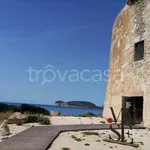 Rent 3 bedroom apartment of 75 m² in Alghero