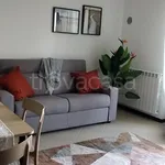 Rent 1 bedroom apartment of 45 m² in Roma