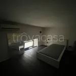 Rent 1 bedroom apartment of 30 m² in Torino