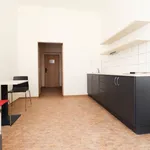 Rent 1 bedroom apartment in Prague