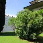 Rent 8 bedroom apartment of 162 m² in Thiene